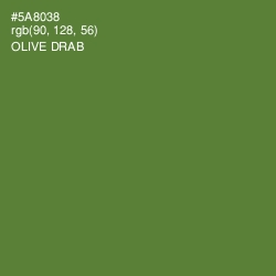 #5A8038 - Olive Drab Color Image
